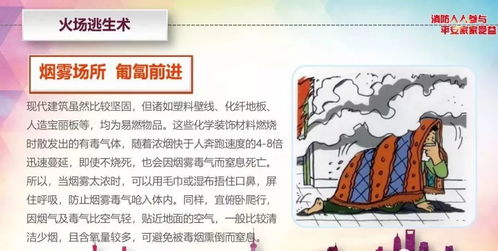 史上最全消防安全指南 守護生命與財產的基石